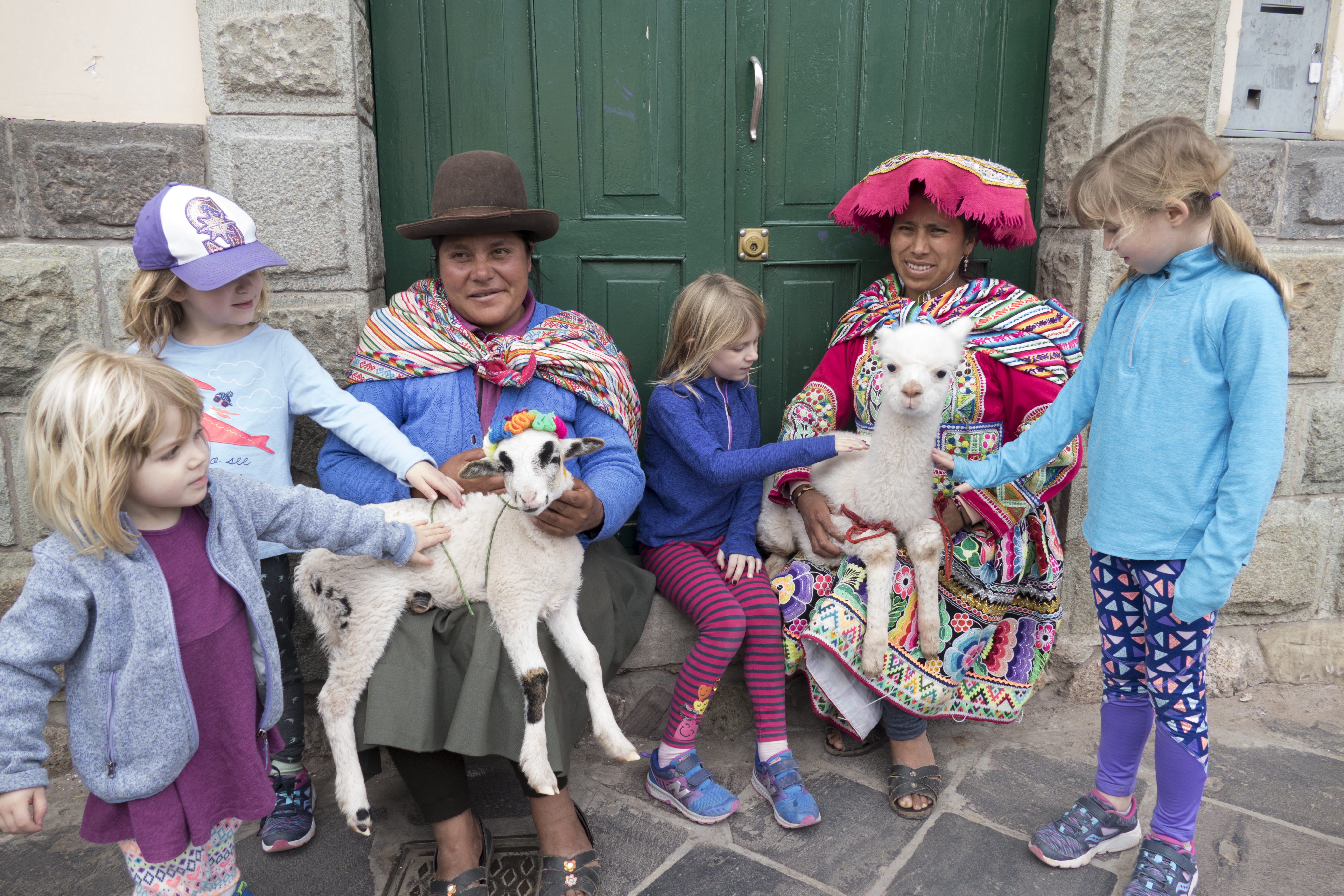 girls petting baby llamas