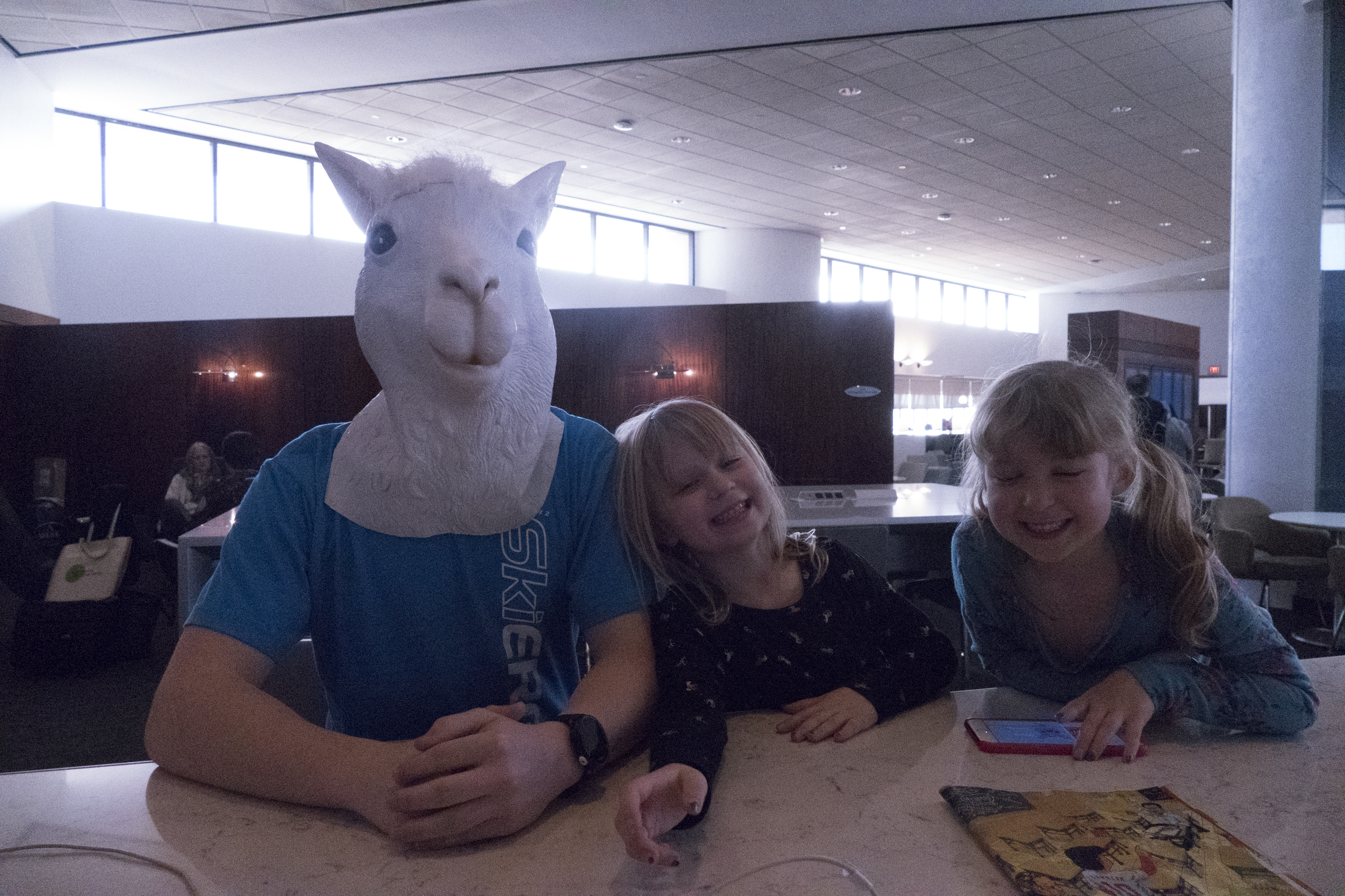 llama and twins.jpg