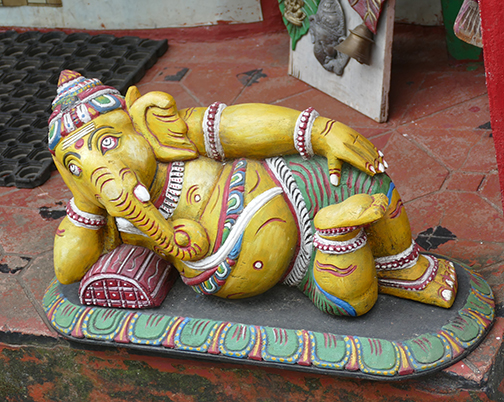 elephant relaxing small