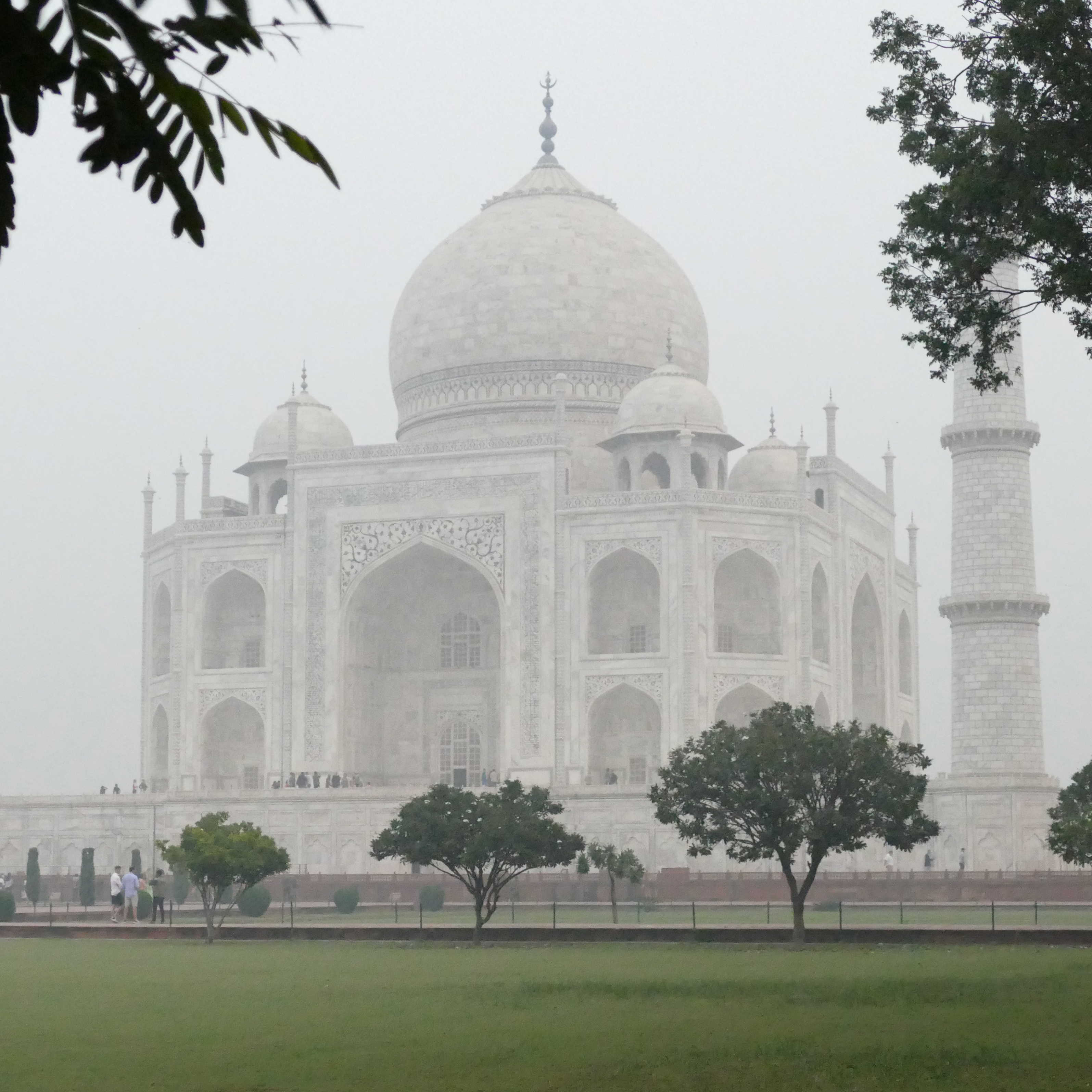 taj 3 better copy