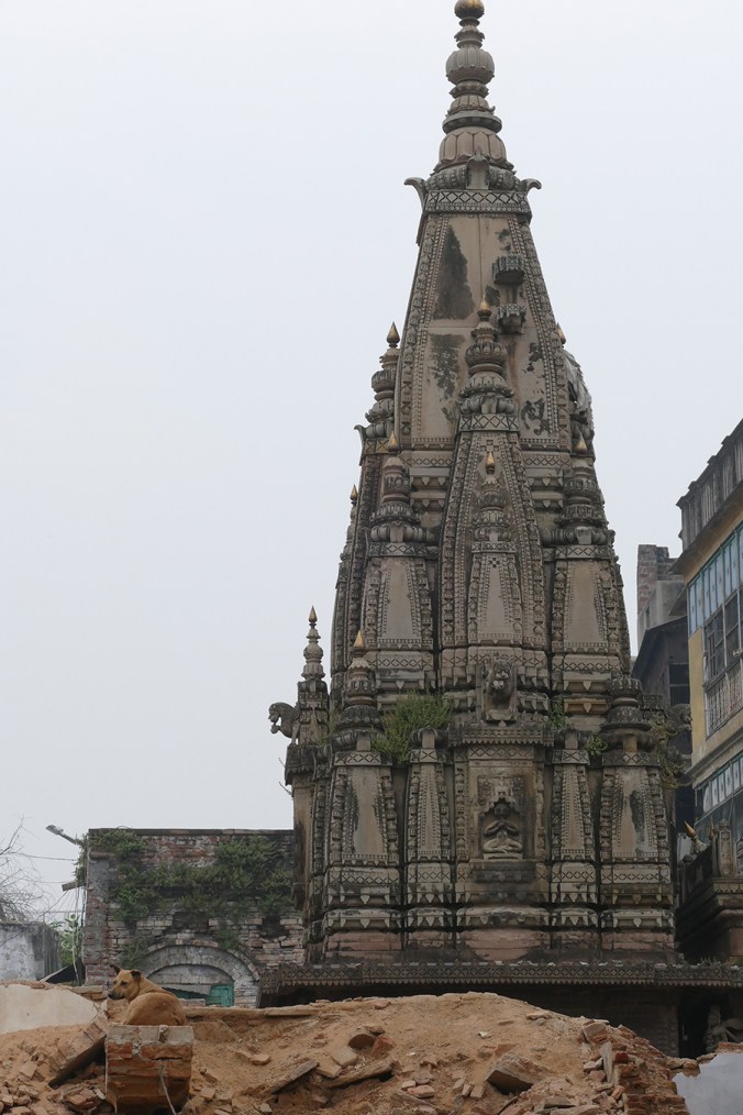 temple copy